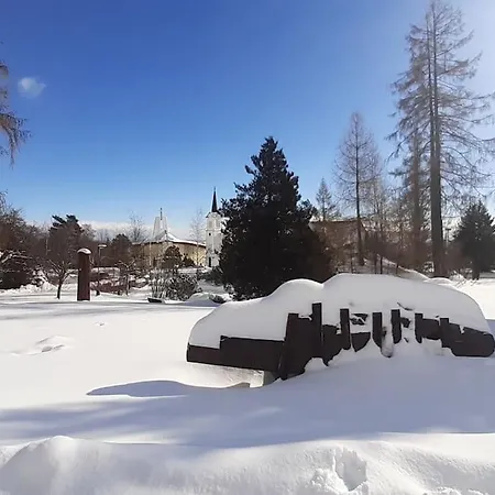 Cosy Flat In High Tatras Високе-Татри